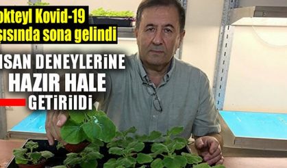 Akdeniz Üniversitesi’nde çalışması devam eden aşı insan deneyine hazır!