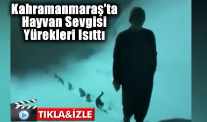 Kahramanmaraş’ta hayvan sevgisi yürekleri ısıttı