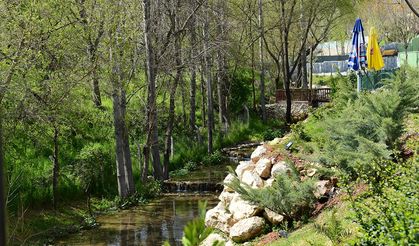 Dulkadiroğlu Belediyesi’nin büyük ilgi gören çay bahçesi Cevizli Park hizmete giriyor