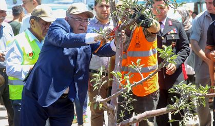 15 Temmuz şehitlerinin isimleri, Kahramanmaraş'ta EXPO 2023 alanındaki hatıra ormanında yaşatılacak!