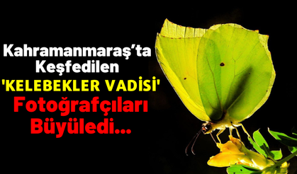 KAMFOD Başkanı Özdoğan: 'Kelebekler Vadisi projesiyle doğa turizmi Kahramanmaraş’ta yaygınlaşacak'
