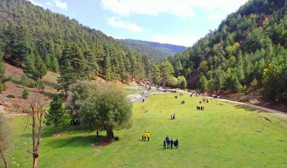 Kahramanmaraş'ta Öğrenciler, Doğa Tutkunlarının Uğrak Noktası Olan Kırksu Vadisi'ni Temizledi!