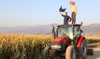 Kahramanmaraşlı çiftçiler yılda 20 milyon liralık akdarı üretimi yapıyor!