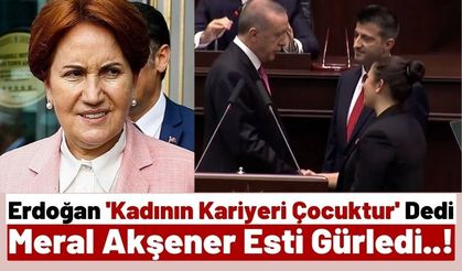 Meral Akşener Erdoğan'ın Sözlerine Ateş Püskürdü: 'Bu çirkin şuuraltı ve bu kirli zihniyet..'