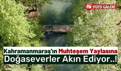 Kahramanmaraş'ın 'Kırksu Yaylası' Ziyaretçilerini Büyülüyor!