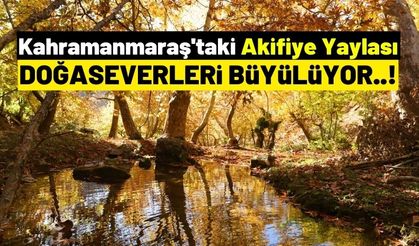 Kahramanmaraş'ın Akifiye Yaylası Sonbaharda Ziyaretçilerini Büyülüyor!
