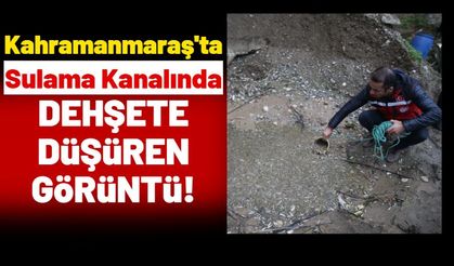 Kahramanmaraş'ta Su Kanalında Oksijensiz Kalan Binlerce Balık Öldü!