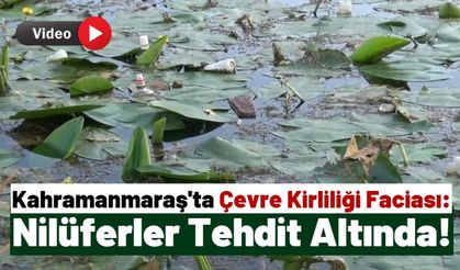 Kahramanmaraş'ta Bağlama Gölü'ndeki Kirlilik Doğal Yaşamı Tehdit Ediyor!