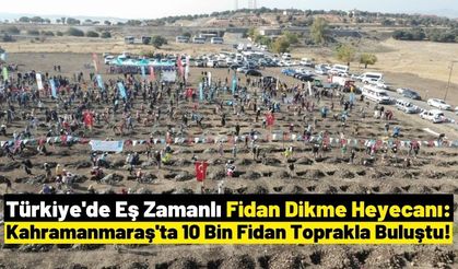 Kahramanmaraş'ta Milli Ağaçlandırma Gününde 10 Bin Fidan Dikildi!