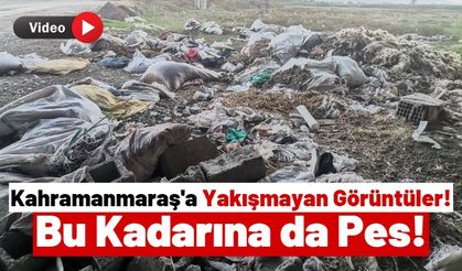 Kahramanmaraş’ta Çevre Kirliliği: Duyarsız Vatandaşlar Aksu Köprüsü'nü Çöplüğe Çevirdi!
