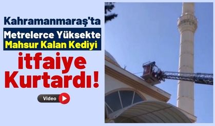 Kahramanmaraş'ta Cami Kubbesinde Mahsur Kalan Kediyi Kurtarmak İçin Seferber Oldular!