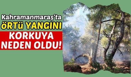 Kahramanmaraş'ta Ormanlık Alanda Çıkan Yangın Panik Yarattı!