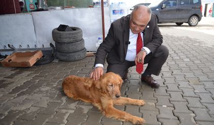 Belediye Başkan Adayı Dr. Selahaddin Can: 'Dulkadiroğlu'nu Şaha Kaldıralım'