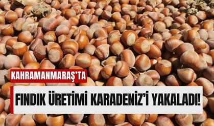 Kalekaya, Kahramanmaraş'ın Fındık Başkenti Olma Yolunda