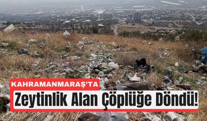 Kahramanmaraş’ta Zeytinlik Çöp Yığınına Döndü!