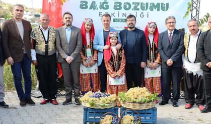 Kahramanmaraş Bertiz’de Bağ Bozumu Coşkusu: Kabarcık Üzümü Tanıtıldı