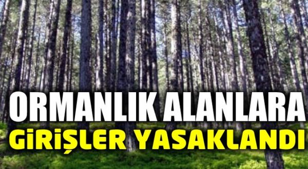 İzmir ve Balıkesir'de ormanlara girişler yasaklandı