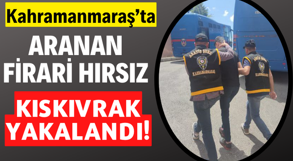 Kahramanmaraş'ta Polis Ekipleri 12 Yıl Hapis Cezasıyla Aranan Hırsızı Kıskıvrak Yakaladı!