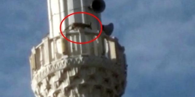 Manisa'da minarede tilki gören vatandaşlar şaşırdı!