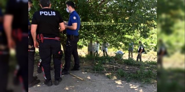 Devriye Gezen Polis, Ağaca Asılı Ceset Buldu