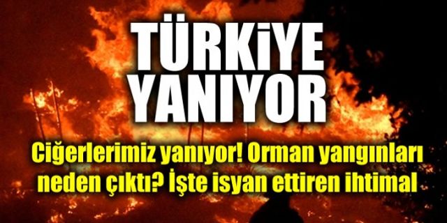 Ciğerlerimiz yanıyor! Türkiye Yanıyor Yangınlar Neden Çıktı?