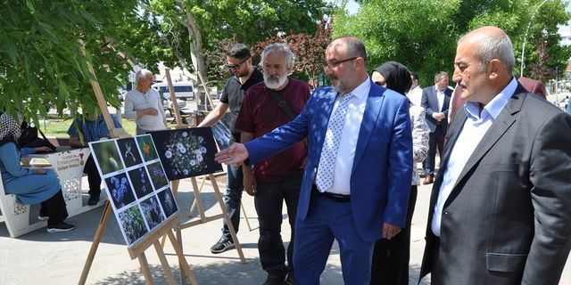 Kahramanmaraş'ta Fotokamp Etkinliği Yoğun İlgi Gördü