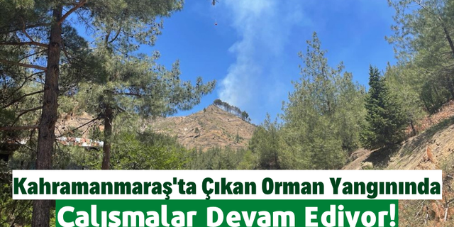 Kahramanmaraş'ta Çıkan Orman Yangını Kontrol Altına Alındı! Soğutma Çalışmaları Sürüyor!