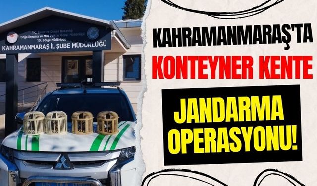 Kahramanmaraş Jandarma, Konteyner Kentteki Kınalı Kekliklere El Koydu!