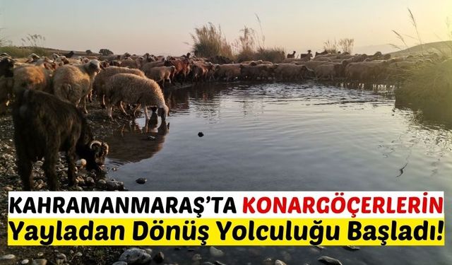 Kahramanmaraş'ta 6 Aydır Yaylada Olan Göçerler Eve Dönüyor!