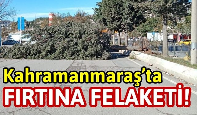 Kahramanmaraş'ta Kuvvetli Fırtına Ağaçları Yerinden Söktü!