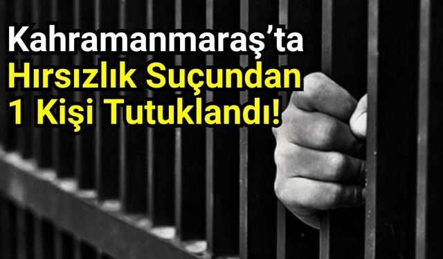 Kahramanmaraş'ta Jandarma Hırsızlıktan Hüküm Giymiş Firariyi Yakaladı!