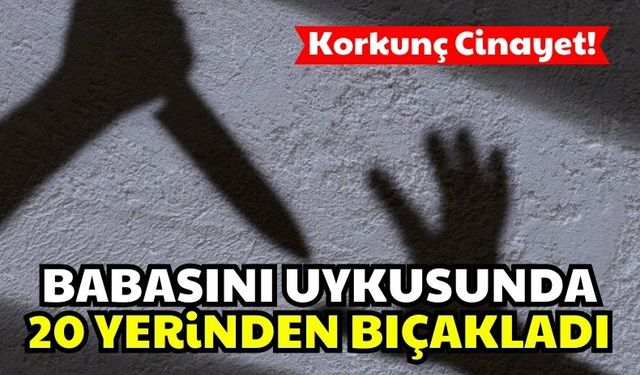 14 Yaşındaki Genç, Babasını 20 Yerinden Bıçaklayarak Öldürdü!