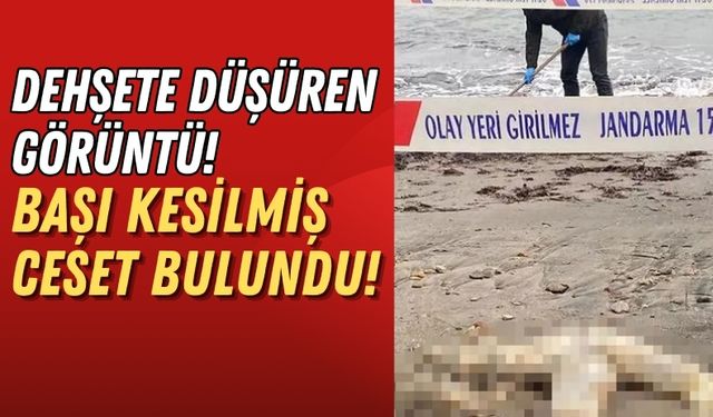 Sahile Vuran Başsız Ceset Görenleri Dehşete Düşürdü!