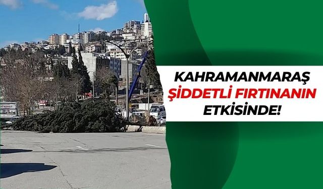 Kahramanmaraş'ta Şiddetli Rüzgar Ağaçları Yola Devirdi!