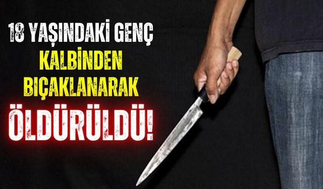 Kuş Kavgası Cinayetle Bitti: Genç Kalbinden Bıçaklandı!