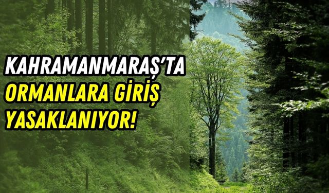 Kahramanmaraş Valiliği Duyurdu: Ormanlara Giriş, Mangal ve Piknik Yasak!