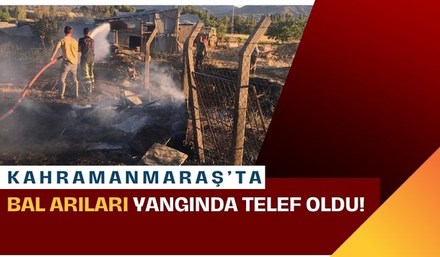 Kahramanmaraş'ta Otomobil Yangını: Araç Demir Yığınına Döndü!