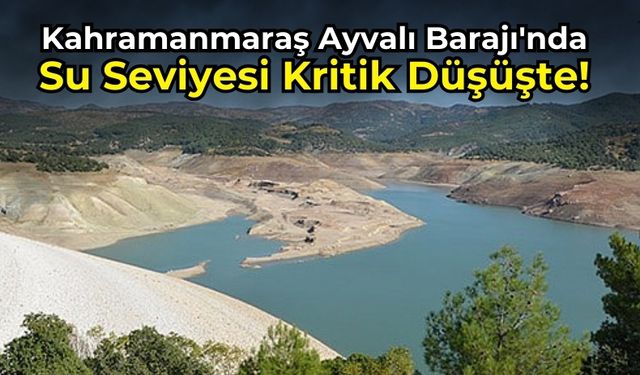 Kahramanmaraş Ayvalı Barajı'nda Düşük Su Seviyesi Alarmı!