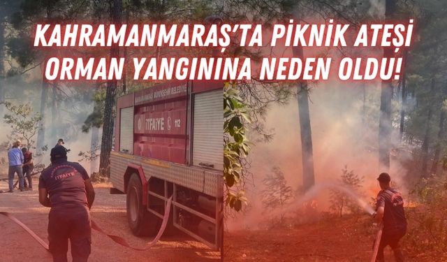 Kahramanmaraş'ta Piknik Ateşinin Bilançosu Ağırlaşıyor: 100 Hektar Kül Oldu!