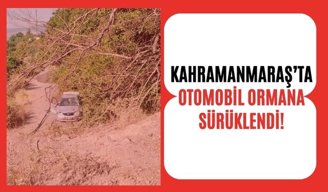 Kahramanmaraş'ta Otomobil Ormanlık Alana Sürüklenerek Kaza Yaptı!