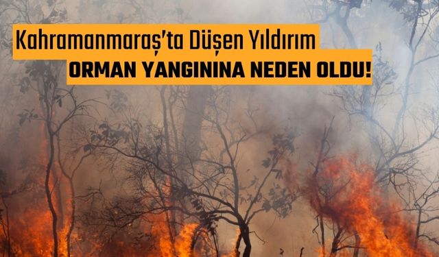 Kahramanmaraş'ta Yıldırımın Tetiklediği Orman Yangını 3 Saatte Söndürüldü!