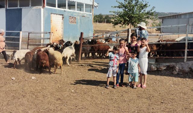Kahramanmaraş'ta Modern Hayvan Çiftliği Kuruldu: Besicilikte Yeni Bir Dönem Başlıyor