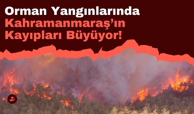 Kahramanmaraş’ta Orman Yangınları Tedirgin Ediyor: 138 Yangınla Beşinci Sırada