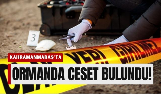 Kahramanmaraş’ta Ormanda Kaybolan Yaşlı Adamın Acı Sonu!