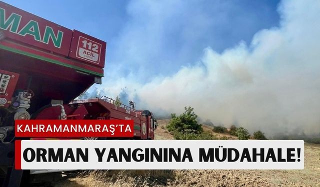 Kahramanmaraş’ta Ormanlık Alanda Yangın: Ekipler Harekete Geçti!