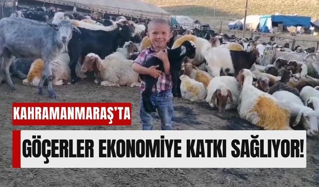 Kahramanmaraş Yaylaları, 400 Bin Küçükbaş Hayvanla Ekonomiye Süt ve Peynir Kazandırıyor