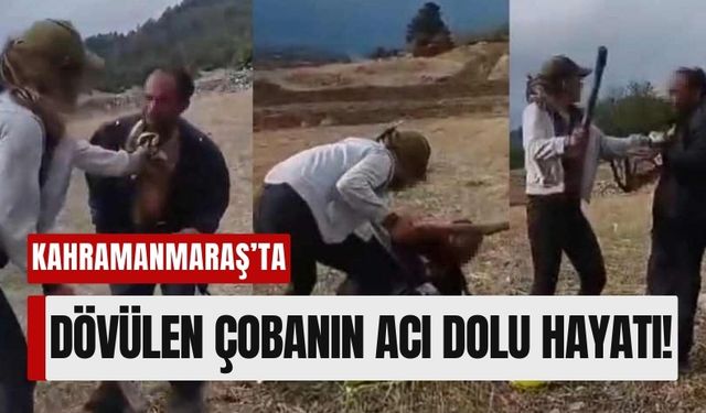 Kahramanmaraş'ta Saldırıya Uğrayan Çobanın Zorlu Hayatı!