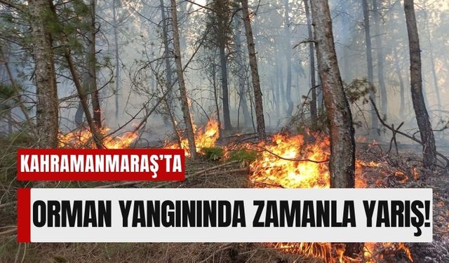 Kahramanmaraş Orman Yangınında Zamanla Yarış: Ekipler Hızla Müdahale Etti!