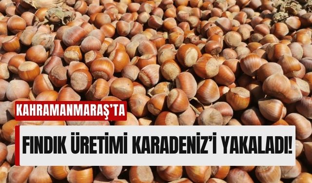 Kalekaya, Kahramanmaraş'ın Fındık Başkenti Olma Yolunda