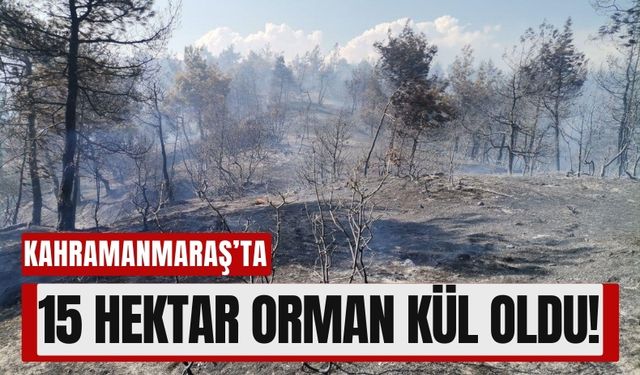 Kahramanmaraş'ta Çıkan Yangın 15 Hektar Ormanı Yok Etti!